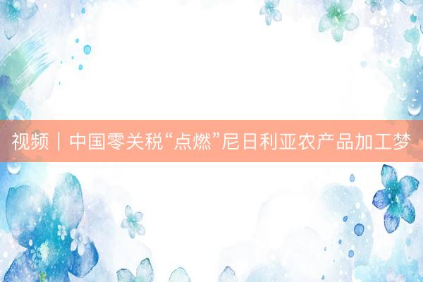 视频｜中国零关税“点燃”尼日利亚农产品加工梦