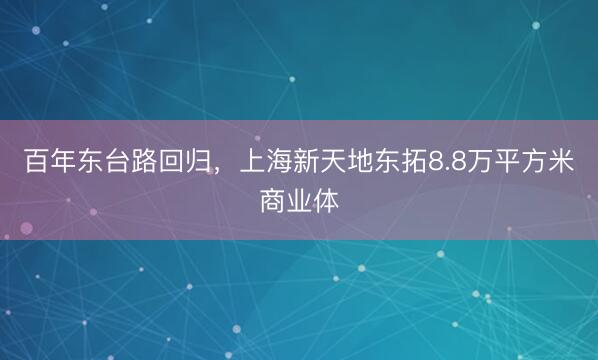 百年东台路回归，上海新天地东拓8.8万平方米商业体