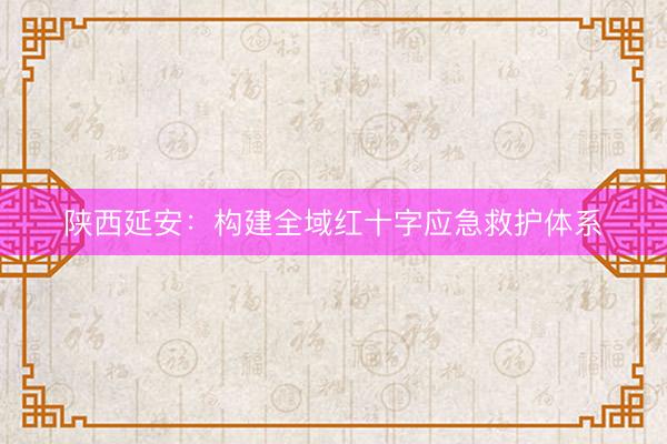 陕西延安：构建全域红十字应急救护体系