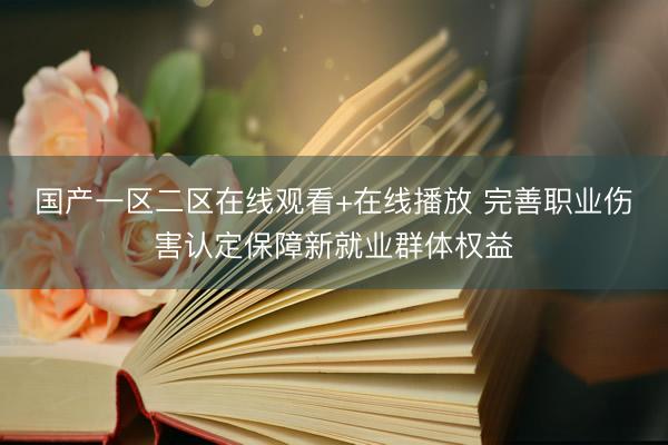 国产一区二区在线观看+在线播放 完善职业伤害认定保障新就业群体权益