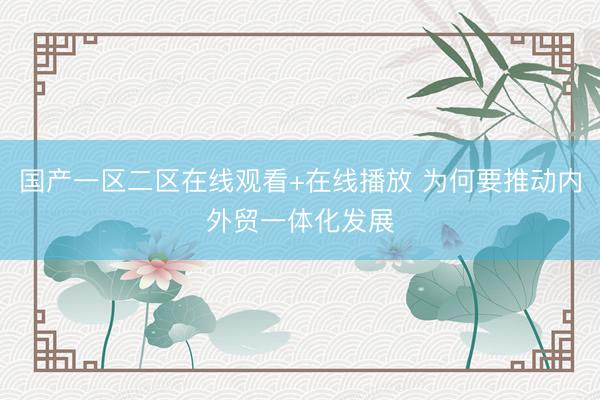 国产一区二区在线观看+在线播放 为何要推动内外贸一体化发展
