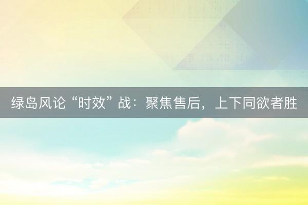 绿岛风论 “时效” 战：聚焦售后，上下同欲者胜