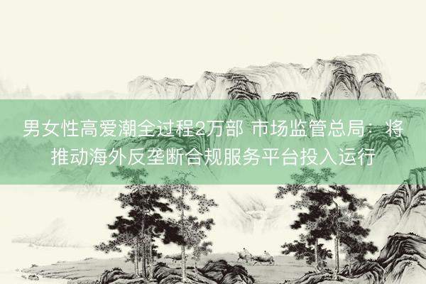 男女性高爱潮全过程2万部 市场监管总局：将推动海外反垄断合规服务平台投入运行