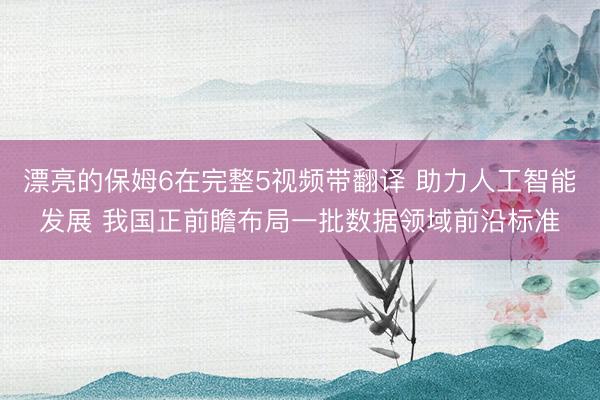 漂亮的保姆6在完整5视频带翻译 助力人工智能发展 我国正前瞻布局一批数据领域前沿标准