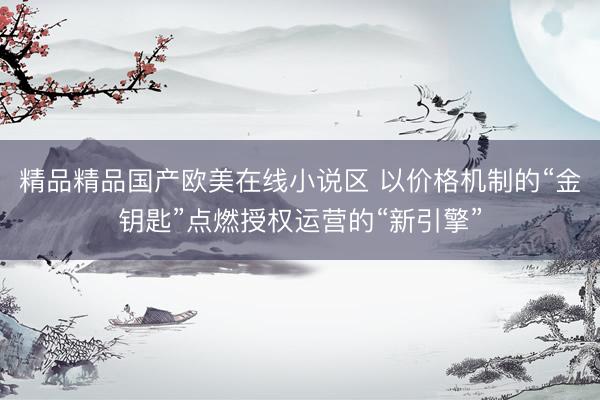 精品精品国产欧美在线小说区 以价格机制的“金钥匙”点燃授权运营的“新引擎”