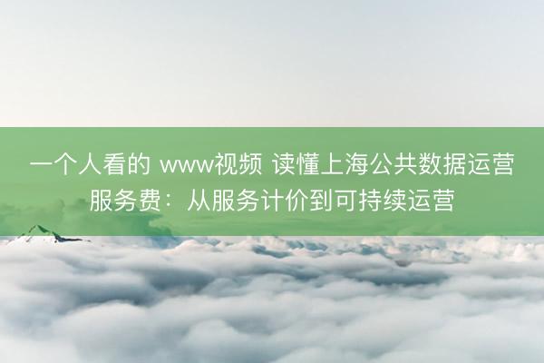 一个人看的 www视频 读懂上海公共数据运营服务费：从服务计价到可持续运营