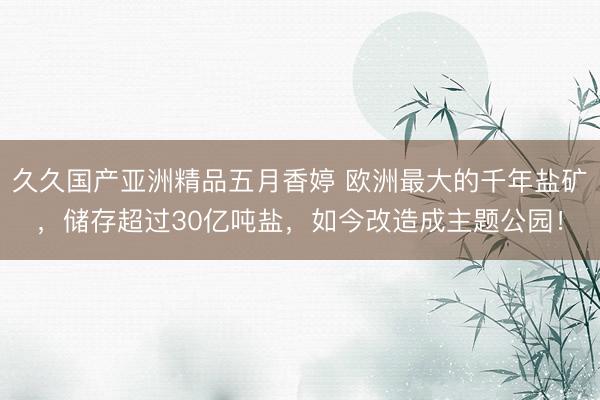 久久国产亚洲精品五月香婷 欧洲最大的千年盐矿，储存超过30亿吨盐，如今改造成主题公园！