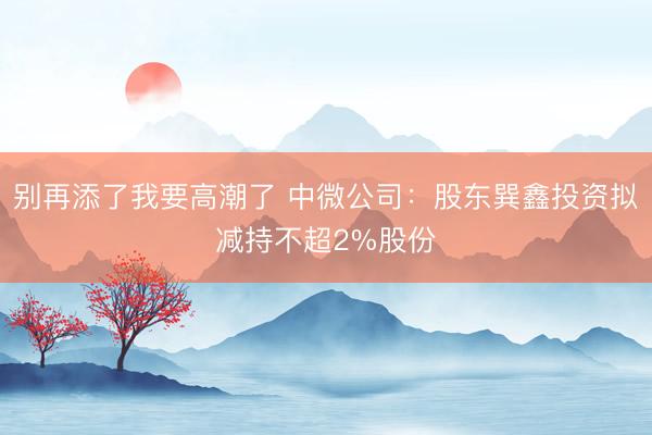 别再添了我要高潮了 中微公司：股东巽鑫投资拟减持不超2%股份