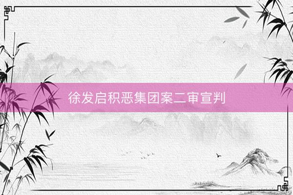 徐发启积恶集团案二审宣判