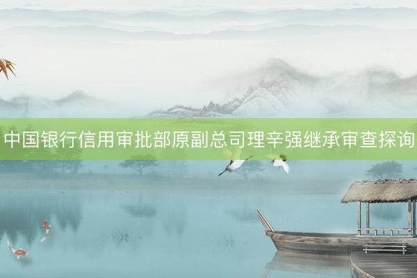 中国银行信用审批部原副总司理辛强继承审查探询