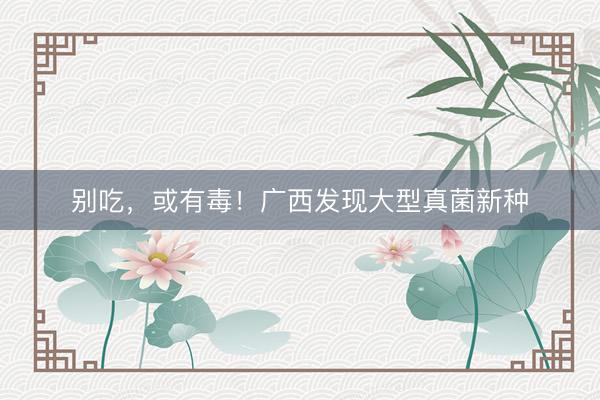 别吃，或有毒！广西发现大型真菌新种