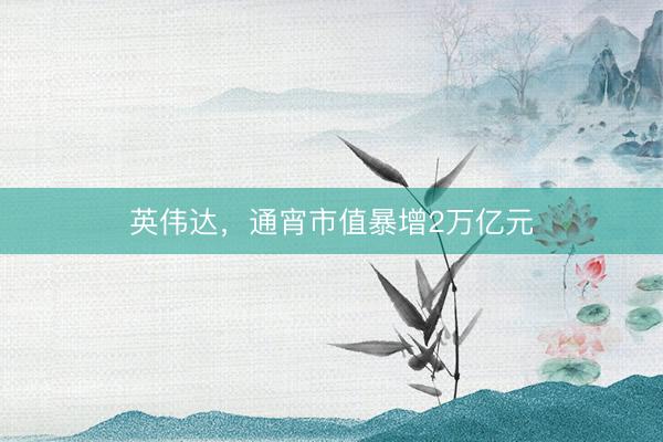 英伟达，通宵市值暴增2万亿元