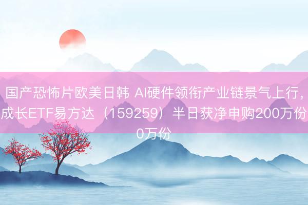 国产恐怖片欧美日韩 AI硬件领衔产业链景气上行，成长ETF易方达（159259）半日获净申购200万份