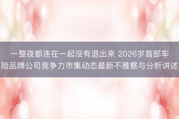 一整夜都连在一起没有退出来 2026岁首部车险品牌公司竞争力市集动态最新不雅察与分析讲述