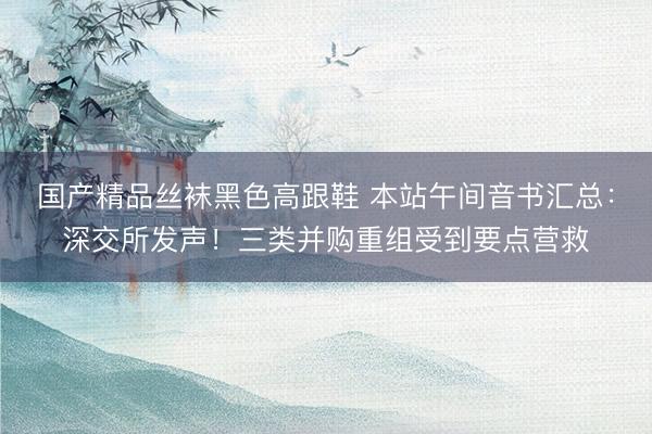 国产精品丝袜黑色高跟鞋 本站午间音书汇总：深交所发声！三类并购重组受到要点营救