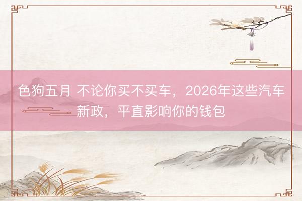 色狗五月 不论你买不买车，2026年这些汽车新政，平直影响你的钱包
