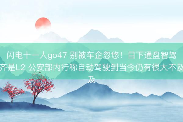 闪电十一人go47 别被车企忽悠！目下通盘智驾齐是L2 公安部内行称自动驾驶到当今仍有很大不及