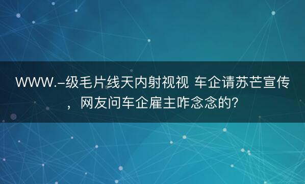 WWW.-级毛片线天内射视视 车企请苏芒宣传，网友问车企雇主咋念念的？