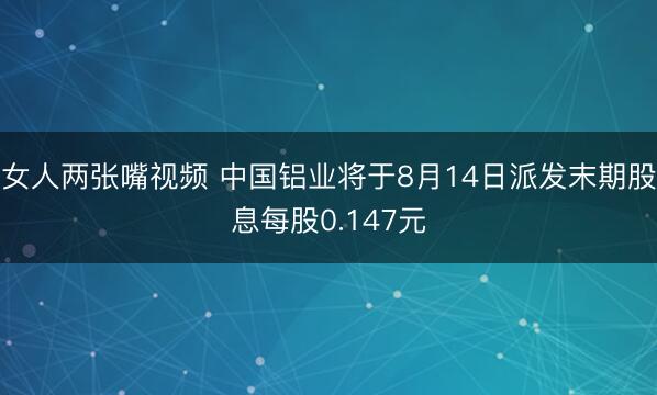 女人两张嘴视频 中国铝业将于8月14日派发末期股息每股0.147元