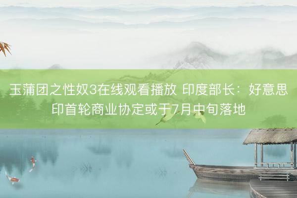 玉蒲团之性奴3在线观看播放 印度部长：好意思印首轮商业协定或于7月中旬落地