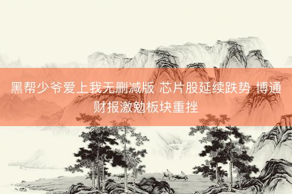 黑帮少爷爱上我无删减版 芯片股延续跌势 博通财报激勉板块重挫