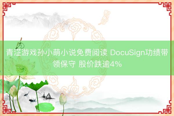 青淽游戏孙小萌小说免费阅读 DocuSign功绩带领保守 股价跌逾4%
