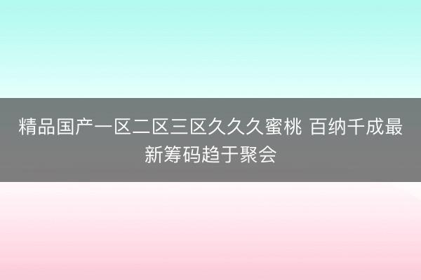精品国产一区二区三区久久久蜜桃 百纳千成最新筹码趋于聚会