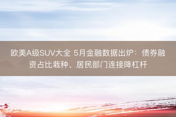 欧美A级SUV大全 5月金融数据出炉：债券融资占比栽种、居民部门连接降杠杆