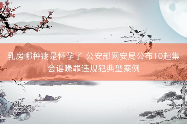 乳房哪种疼是怀孕了 公安部网安局公布10起集会谣喙罪违规犯典型案例