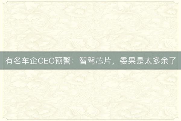 有名车企CEO预警：智驾芯片，委果是太多余了