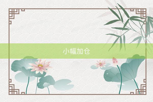 小幅加仓