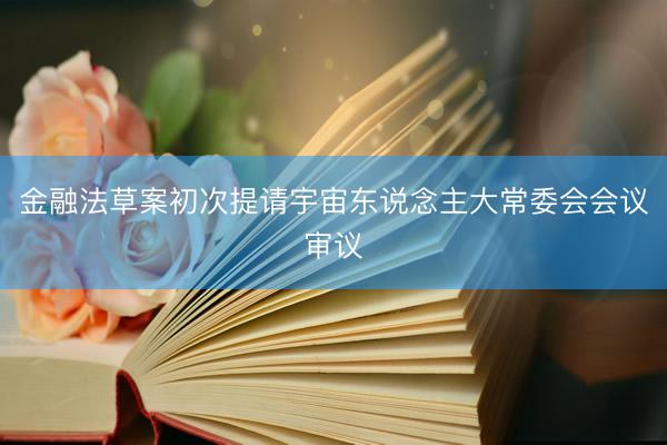 金融法草案初次提请宇宙东说念主大常委会会议审议
