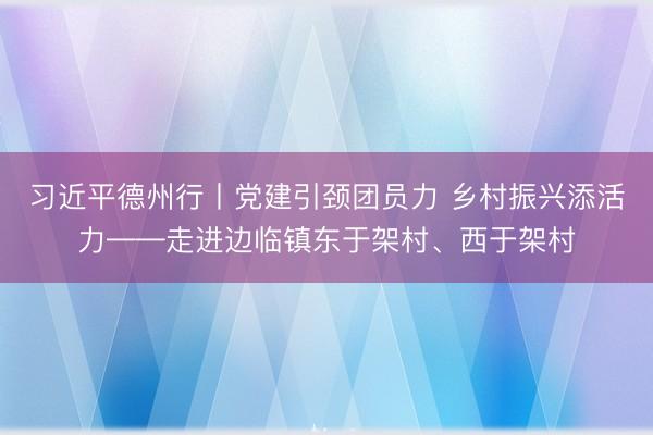 习近平德州行丨党建引颈团员力 乡村振兴添活力——走进边临镇东于架村、西于架村